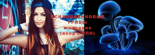 ECSTASY Няндома