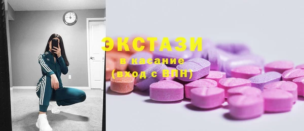 ECSTASY Няндома
