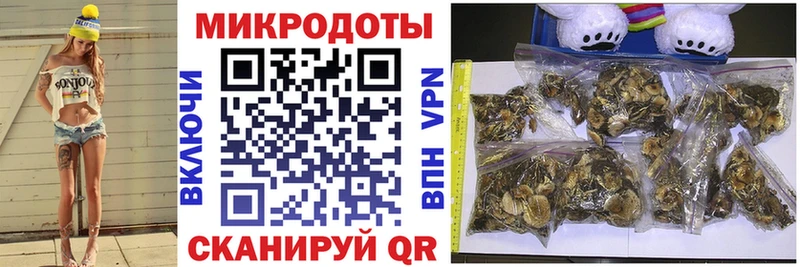 Псилоцибиновые грибы Magic Shrooms OMG ссылки это Telegram Южа